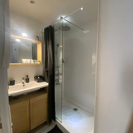 Apartment At 200m From With Pool Cannes